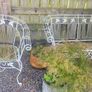 Outdoor Image 2