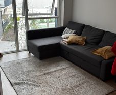 rugs