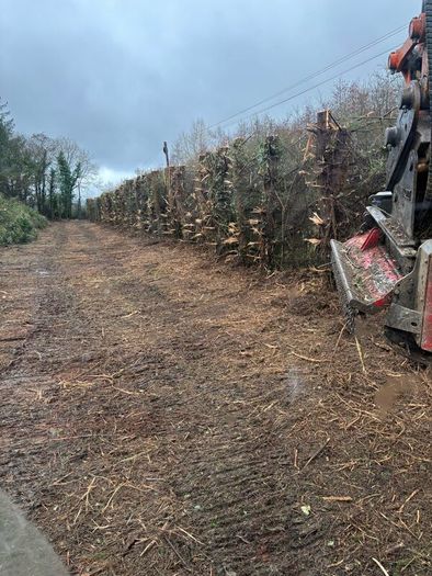 Mulcher and tree shears