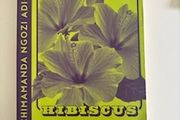 Purple Hibiscus by Chimamanda Ngozi Adichie