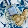 Afinnessence GINGER-LATTE  100 ml new sealed original free gift Image 5