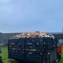 Firewood Image 7