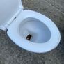 Full toilet Image 3