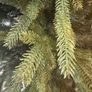 7.2ft Artificial Christmas tree be like Real Image 8