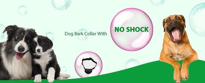 New Rechargeable Vibration Bark Collar