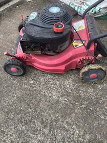 Petrol lawnmower