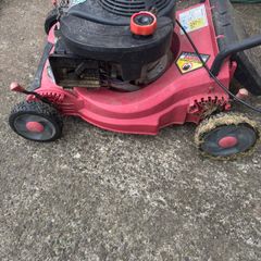 Petrol lawnmower