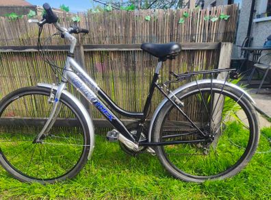 ladies bike
