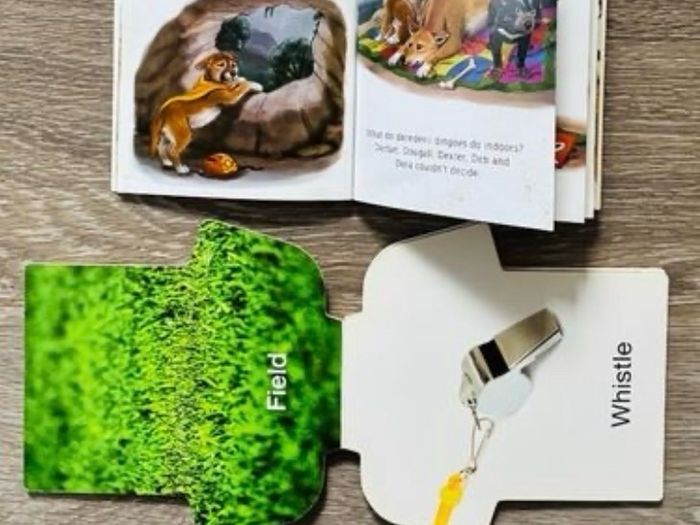 Australia/New Zealand Children's Books - Children's Book Bundle - My First All Blacks Book & Daredevil Dingo