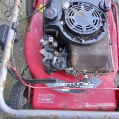 free petrol lawnmower