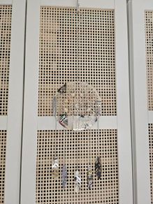 Decorative hanging