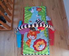 Fisher price play gym