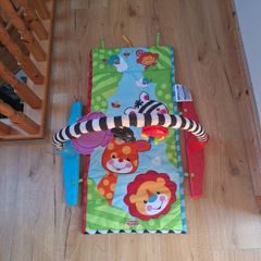 Fisher price play gym