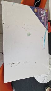 Canvas 20" x 30"