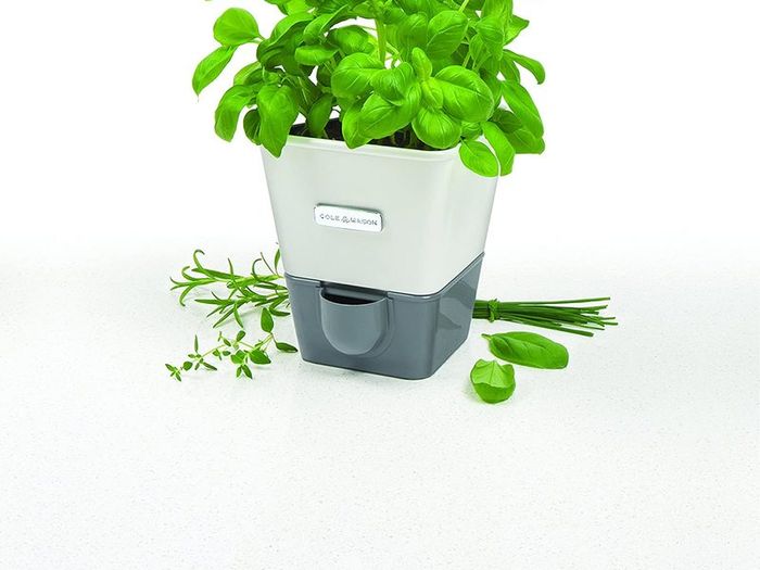 Self-Watering Potted Herb Keeper