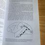 Visual Perception and Vision Science (Psychology Neuroscience Books) Image 5