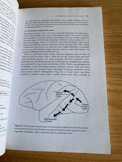 Visual Perception and Vision Science (Psychology Neuroscience Books)