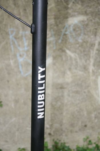 Niubility Adult Electric Scooter 36v Li-ion (works well)