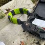 Moocall Heat collar Image 3