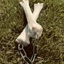 1 Nunchucks made from horse leg bones and chains Image 5