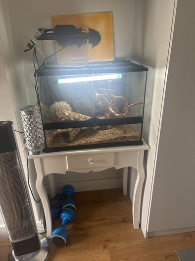 Reptile tank