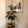 Galerie Thibault Framed Art Print - French Mid Century Modern 45x60cm Image 2
