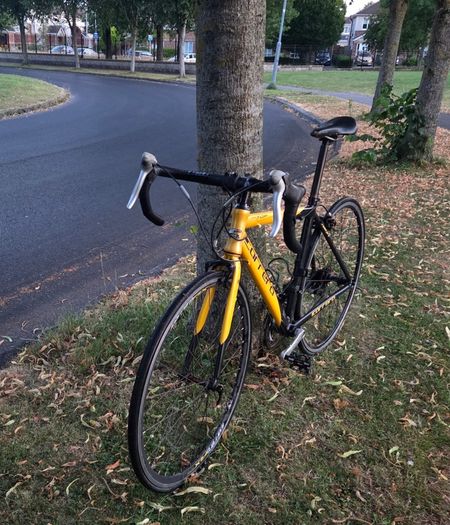 Carrera bike