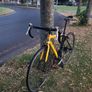 Carrera bike Image 2