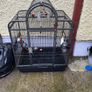 bird cage Image 2