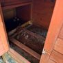 chicken coup Image 2