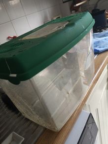 fish tank