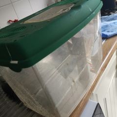 fish tank