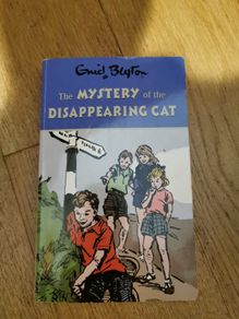 The Mystery of the Disappearing Cat