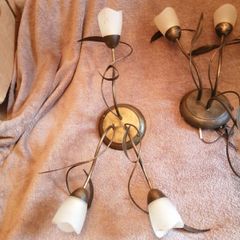 Ceiling lights