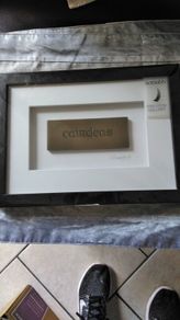Wild goose picture frame