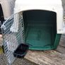 200 Series Transport Crates for Cats - IATA Pet Travel Kennels Image 5