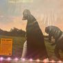 King Hannah - I'm Not Sorry, I Was Just Being Me (Limited Edition) Image 3