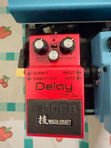 Boss DM-2W Waza Craft Custom Delay