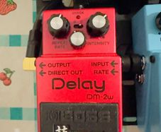 Boss DM-2W Waza Craft Custom Delay