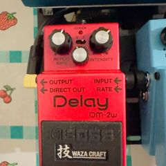 Boss DM-2W Waza Craft Custom Delay
