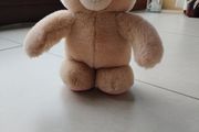 Teddy
