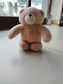 Teddy