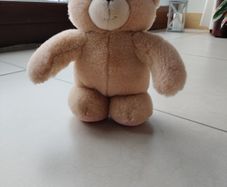 Teddy