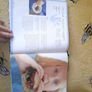 ready steady cook for kids Image 4
