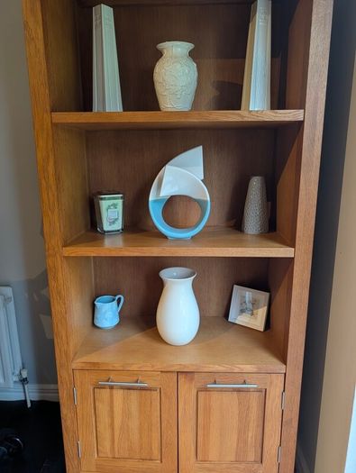 Tall Bookshelf & Storage Unit