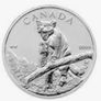 9 Silver Coins Image 2
