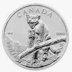 9 Silver Coins