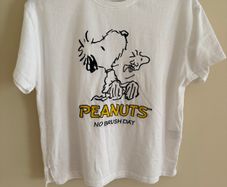 Zara Girls Peanuts t-shirt Age 9-10 years