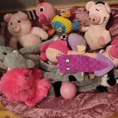 medium dog bed and toys
