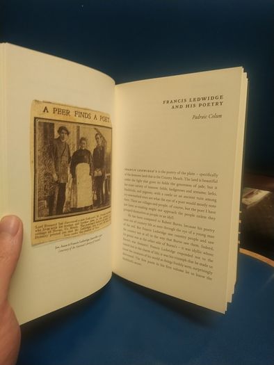 A Bittern Cry, Francis Ledwidge